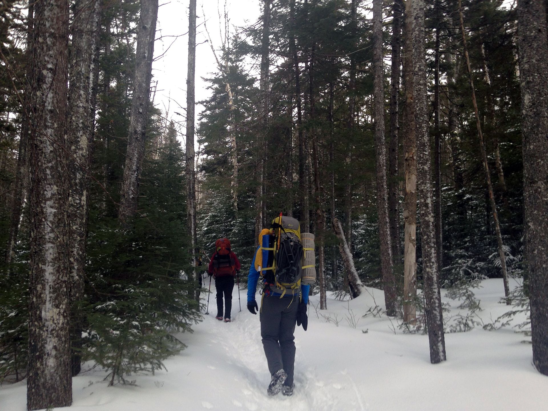 Hiking photo from 2017-01-28